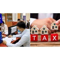 Hướng dẫn gia hạn thời hạn nộp thuế, tiền thuê đất năm 2024