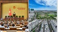 03 luật về bất động sản chính thức có hiệu lực từ 01/8/2024