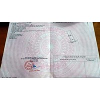 Sổ đỏ đứng tên chồng khi bán đất có cần vợ ký tên không?