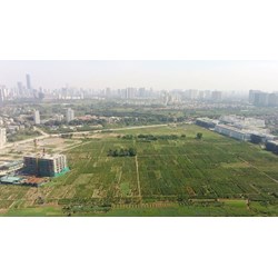 Quy hoạch sử dụng đất theo Luật đất đai 2024 có gì mới?