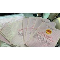 Mẫu sổ đỏ, sổ hồng mới nhất năm 2024: Những điểm cần lưu ý