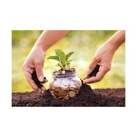 Tiền thuê đất là gì? Căn cứ tính tiền thuê đất từ ngày 01/8/2024 theo Luật đất đai 2024