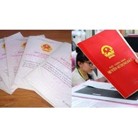 Mẫu đơn xin cấp đổi, cấp lại sổ đỏ (Tải Mẫu số 10/ĐK file word)
