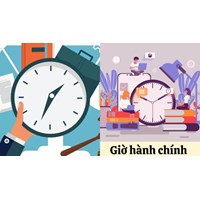 Làm việc theo giờ hành chính theo quy định của nhà nước?