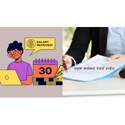Thời gian thử việc tối đa của người lao động là bao lâu?