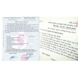 Thủ tục cấp phiếu lý lịch tư pháp số 2 mới nhất 2024