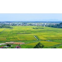 Công dân có quyền sở hữu đất đai không? Vì sao?