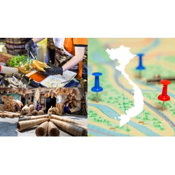 Hành vi xâm phạm quyền đối với chỉ dẫn địa lý gồm những gì?