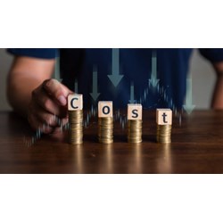 Có được giảm thuế GTGT 6 tháng cuối năm 2024 không?