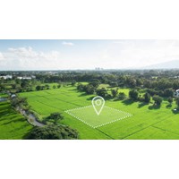 Các loại đất sử dụng ổn định lâu dài theo Luật đất đai năm 2024