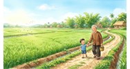 Phân tích bài thơ cùng ông thăm lúa của Nguyễn Lãm Thắng