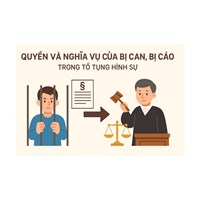 Quyền và nghĩa vụ của bị can trong tố tụng hình sự