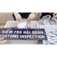 Tội vận chuyển trái phép chất ma túy theo Điều 250 Bộ luật Hình sự