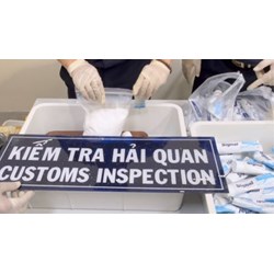 Tội vận chuyển trái phép chất ma túy theo Điều 250 Bộ luật Hình sự