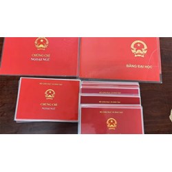 Người sử dụng bằng cấp 3 giả có bị hủy bằng tốt nghiệp khác?