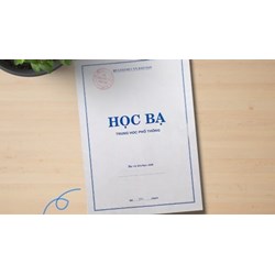 Làm giả học bạ giả để học lên đại học, tiến sĩ bị xử lý thế nào?