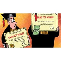 Nhà sư sử dụng bằng giả thì có được giảm nhẹ trách nhiệm?