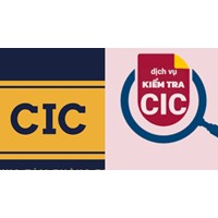 CIC là gì? Tra cứu CIC cá nhân để kiểm tra nợ xấu