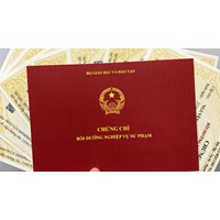 Danh sách các trường được cấp chứng chỉ nghiệp vụ sư phạm