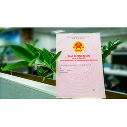 Trường hợp không được sang tên Sổ đỏ theo Luật đất đai 2024