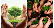 Thủ tục cấp giấy phép môi trường cấp huyện cần những gì?