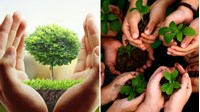 Thủ tục cấp giấy phép môi trường cấp huyện cần những gì?