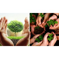 Thủ tục cấp giấy phép môi trường cấp huyện cần những gì?