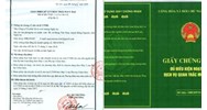 Quy định mới về giấy phép môi trường gồm nội dung gì?