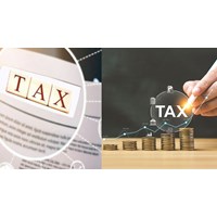 Các loại thuế doanh nghiệp phải nộp năm 2024 mới nhất