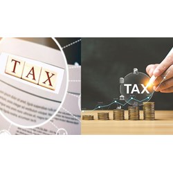 Các loại thuế doanh nghiệp phải nộp năm 2024 mới nhất