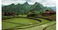 Quy định mới về văn phòng đăng ký đất đai theo Luật đất đai 2024