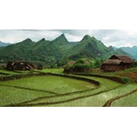 Quy định mới về văn phòng đăng ký đất đai theo Luật đất đai 2024