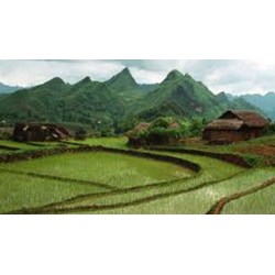 Quy định mới về văn phòng đăng ký đất đai theo Luật đất đai 2024