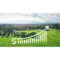 Bảng giá đất Hà Nội mới nhất năm 2024 đang áp dụng