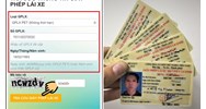Cách kiểm tra giấy phép lái xe thật giả trên gplx.gov.vn