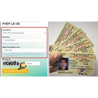 Cách kiểm tra giấy phép lái xe thật giả trên gplx.gov.vn