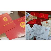 Mức xử phạt đối với sử dụng bằng cấp giả là bao nhiêu?