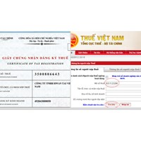 Hướng dẫn tra cứu mã số thuế doanh nghiệp nhanh nhất