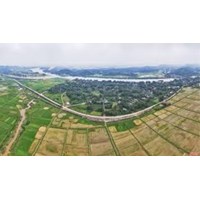 Mẫu đơn đề nghị chuyển hình thức giao đất, cho thuê đất
