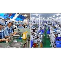 Tỷ lệ doanh nghiệp vừa và nhỏ ở Việt Nam là bao nhiêu %?
