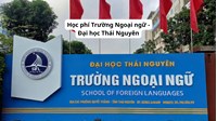 Học phí Trường Ngoại ngữ - Đại học Thái Nguyên hiện nay