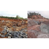 Công ty khai thác đất hiếm trên sản chứng khoán?