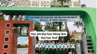 Học phí Đại học Nông lâm - Đại học Huế năm 2026 - 2027