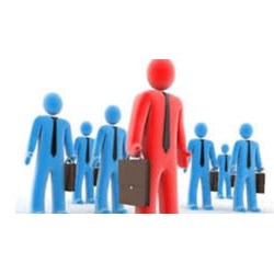 Tăng vốn điều lệ công ty TNHH 1 thành viên như thế nào?