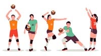 Luật chơi bóng chuyền cơ bản cho các loại hình bóng chuyền