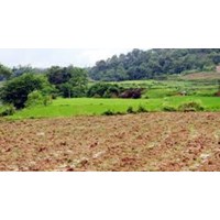 Thủ tục sang tên, đăng ký biến động đất tại Thừa Thiên Huế