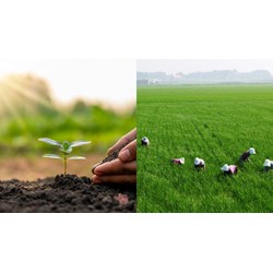 Các loại đất nông nghiệp nào không được phép chuyển đổi?