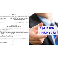 Mẫu thông báo thay đổi người đại diện theo pháp luật mới nhất
