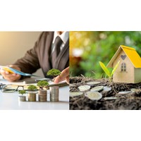 Thẩm quyền thành lập Quỹ phát triển đất thuộc cơ quan nào?