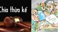 Vợ, cháu nuôi, con nuôi có được thừa kế thế vị không? Ví dụ